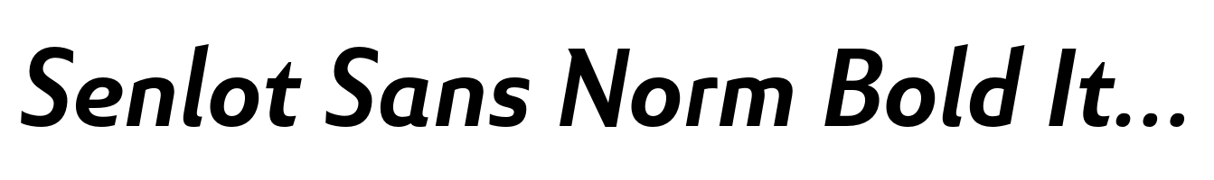 Senlot Sans Norm Bold Italic